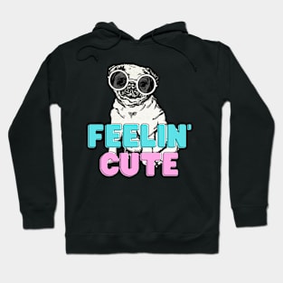 feelin cute Hoodie